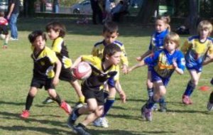 Tournoi école de Rugby à Millau ....