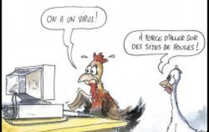 Rappel Poule Honneur 2012/2013 .....