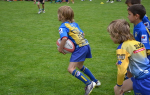 Ecole de Rugby : demandez le programme....