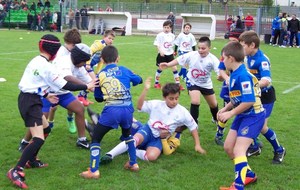 Ecole de Rugby : bientôt la reprise ....