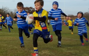 Résultats école de rugby ....