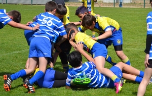 resultats école de rugby ...