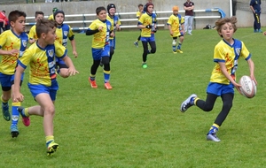 Résultats école de rugby ...