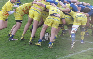 Début à René Char ..dimanche 8 octobre