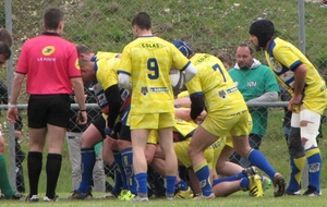 Déplacement à Pic St Loup ...