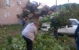 les dirigeants aux mains vertes ....