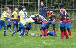 Ecole de rugby : résultats .....