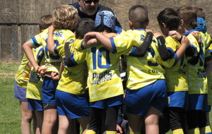 l'ecole de rugby au tournoi des Arlequins ...