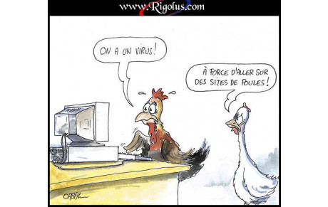 POULE HONNEUR 2013 / 2014