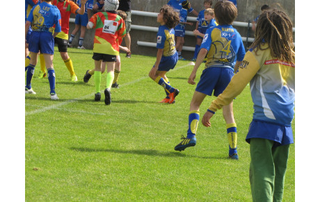 Infos école de rugby .....