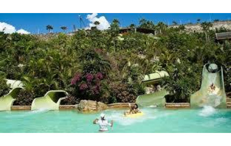 Ecole du rugby: voyage de fin d'année ...