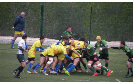 Le Rugby ce week end ....