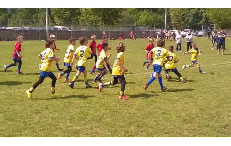 Programme Ecole de rugby ....