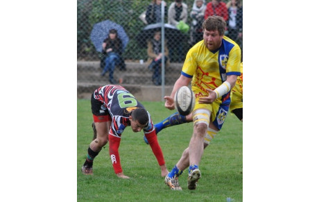 Journée tronquée ....pour la poule honneur !