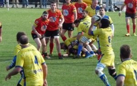 le 1/4 de coupe à Bédarieux ....