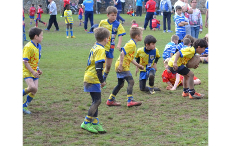 Ecole de rugby : résultats .....