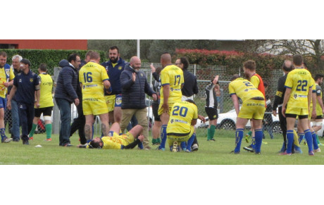 Les jaunes et bleus en demi ...!