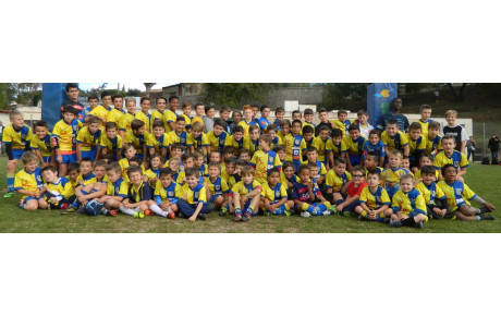 infos école de rugby ....