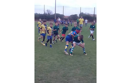 Ecole de rugby : résultats .....