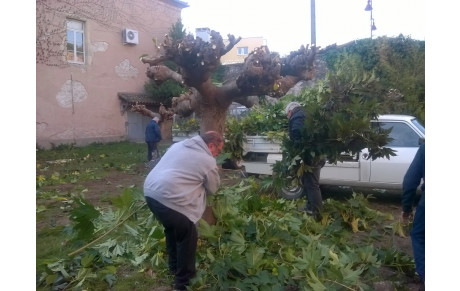 les dirigeants aux mains vertes ....